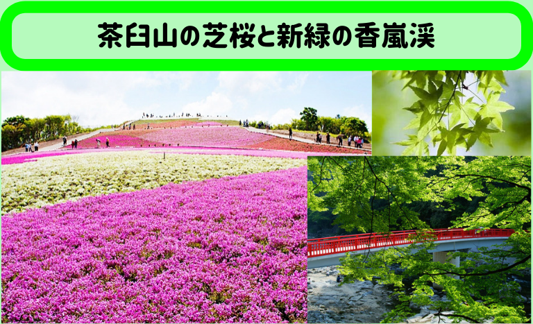 5/23(火)愛知･茶臼山の芝桜と新緑の香嵐渓